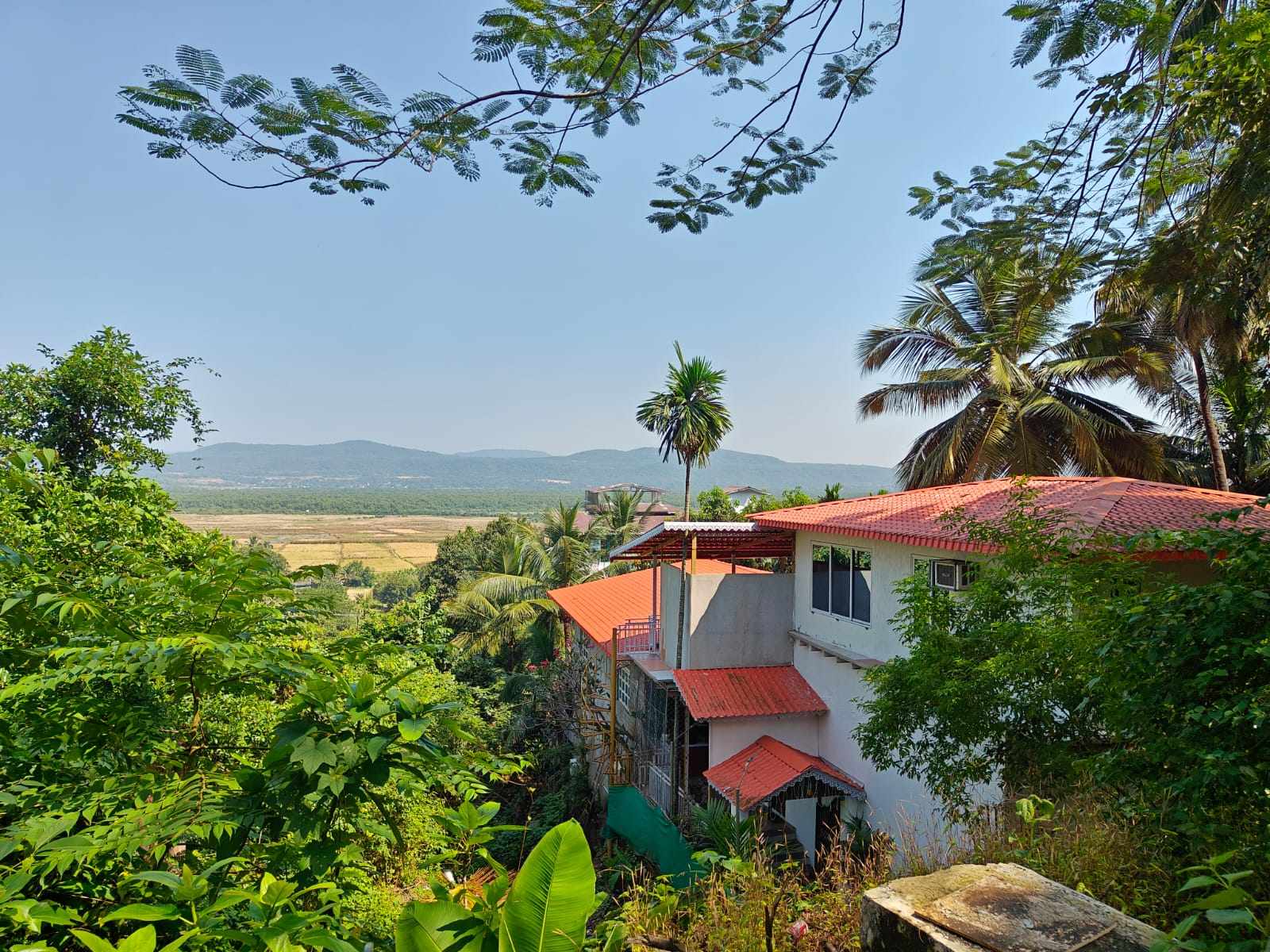MangoValley-Family Super Deluxe Deck View, Alibaug photo 5